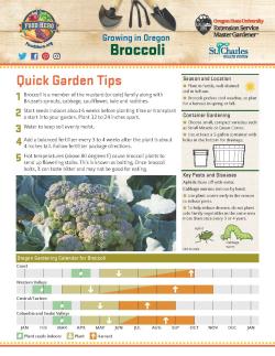 Broccoli garden tip sheet page 1