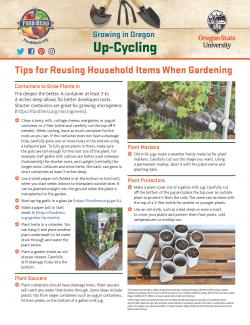 Up-Cycle Household Items When Gardening