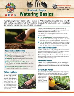 Watering Basics page 1