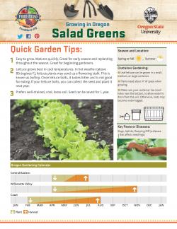 Salad Greens Garden Tips - Page 1