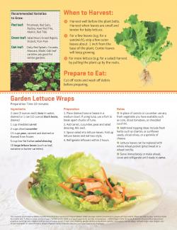 Salad Greens - Garden Tips