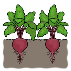 Betables Illustration