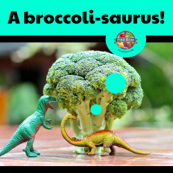 Punchline Image for Broccoli Joke