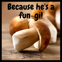 Punchline Image for Mushroom Joke