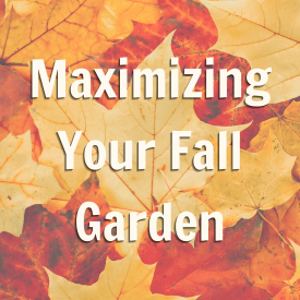 maximizing fall garden blog promo