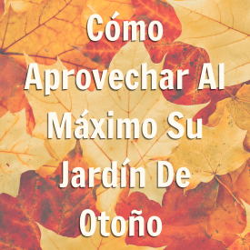 promoción de blog sobre cómo aprovechar al máximo su jardín de otoño y almacenar verduras para el invierno