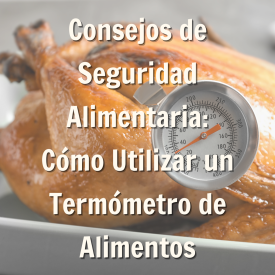 promoción de blog para cómo usar un termómetro para alimentos