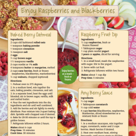 raspberries and blackberries 