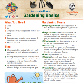 Gardening Basics Information Sheet