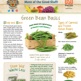 green bean basics 