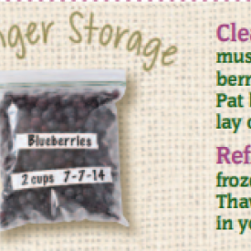 Berry Storage 
