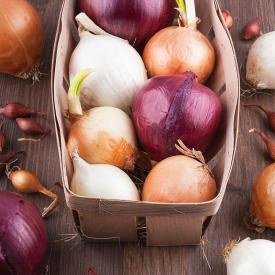 Various Onions
