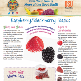 raspberry and blackberries basics 