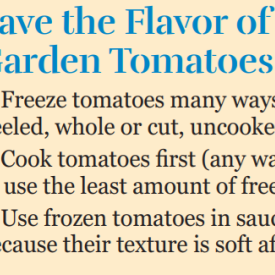 freezing tomatoes 