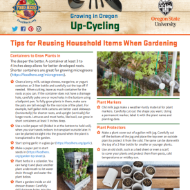 up-cycling in gardening 