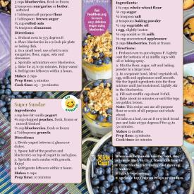 Blueberry Food Hero Monthly