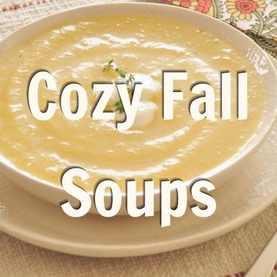 Cozy Fall Soups  Blog Promo 