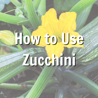 Promo for How to Use Zucchini 