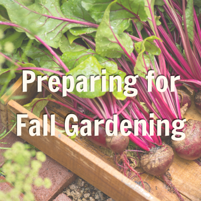 Preparing for Fall Gardening Blog Promo 