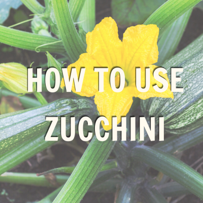 Promo for How to Use Zucchini 