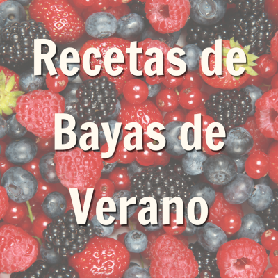 promoción de blog para recetas de baya de verano