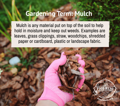 mulch infographic