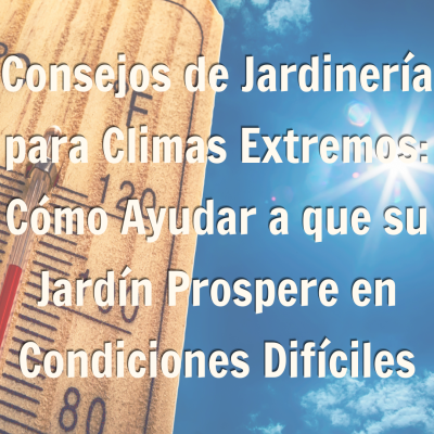 Consejos de Jardinería para Climas Extremos: Cómo Ayudar a que su Jardín Prospere en Condiciones Difíciles Promocion
