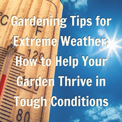 Gardening Tips for Extreme Weather: How to Help Your Garden Thrive in Tough Conditions