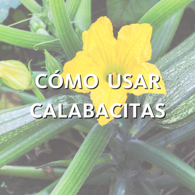 Promoción para usar calabacitas