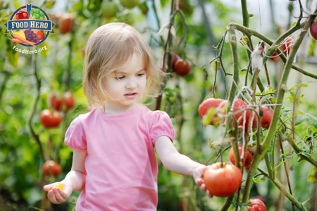 young girl in garden looking at tomato