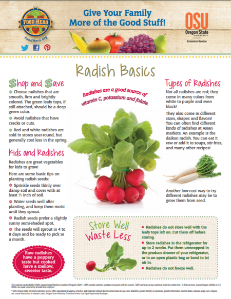 radish basics