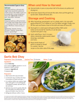 Garlic Gardening Basics 
