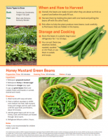 beans garden pdf 