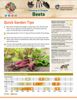 Beets Gardening PDF 