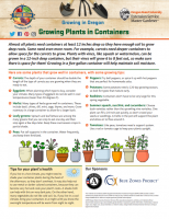 Growing Plants in Containers Instructions 