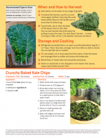 Kale gardening info 