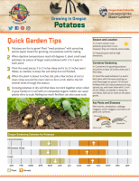 Potato Gardening Instructions 
