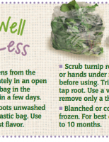 Store Well Waste Less Turnips