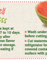 Store Well Waste Less Watermelon