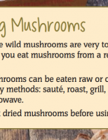 Using Mushrooms 