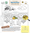 Squash Bee Coloring Sheet