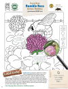 Alkali Bee Coloring Sheet