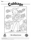 Cabbage Coloring Sheet 