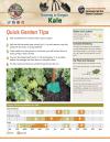 Gardening Tip Sheet Kale 