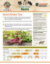 Beets Garden Tip Sheet front page