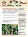 Cómo cultivar las hierbas perennes