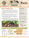 Potatoes - Garden Tips and How to Grow