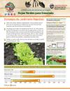 Hojas Verdes para Ensalada - Consejos de jardinería - Pagina 1