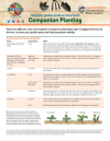 Companion Planting Garden Tip Sheet 