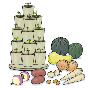Vegetable seedlings growing in small pots surrounded by winter storage vegetables